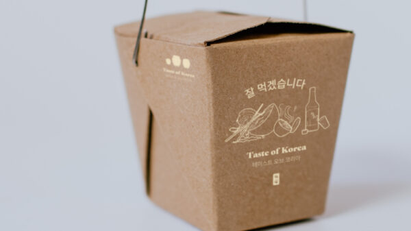 packaging design take away box