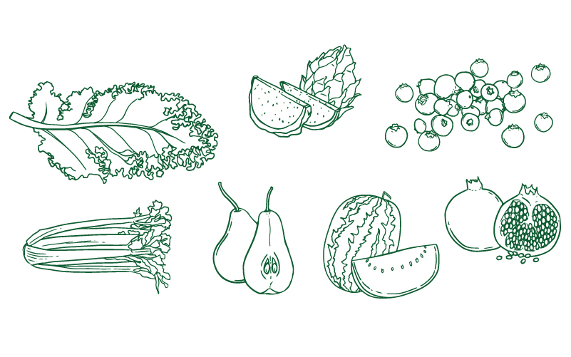 juice bar branding illustrations juice bar branding illustrations
