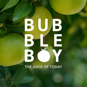 bubbleboy juice bar secondary logo